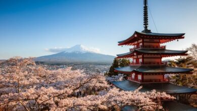 Japan send senior official alaska energy conference