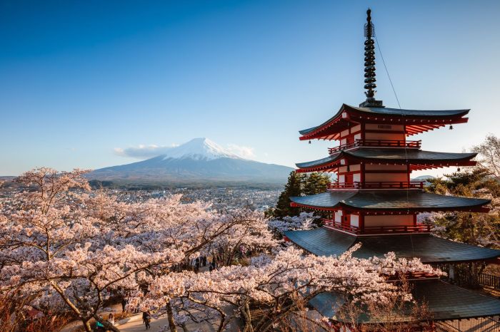 Japan send senior official alaska energy conference