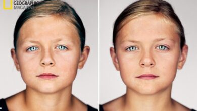 Twins get back track end rays win streak six