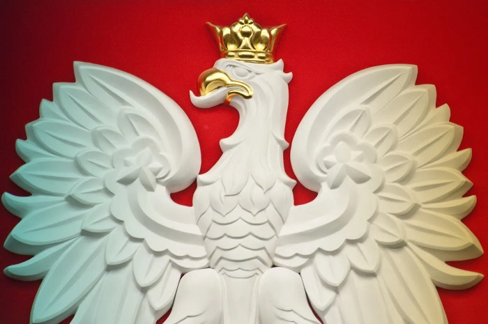 The Eagle Has Landed! Origins of the Polish National Emblem - 3 Seas Europe Polish cbanker litwiniuk total 100 125 bps cuts possible this year