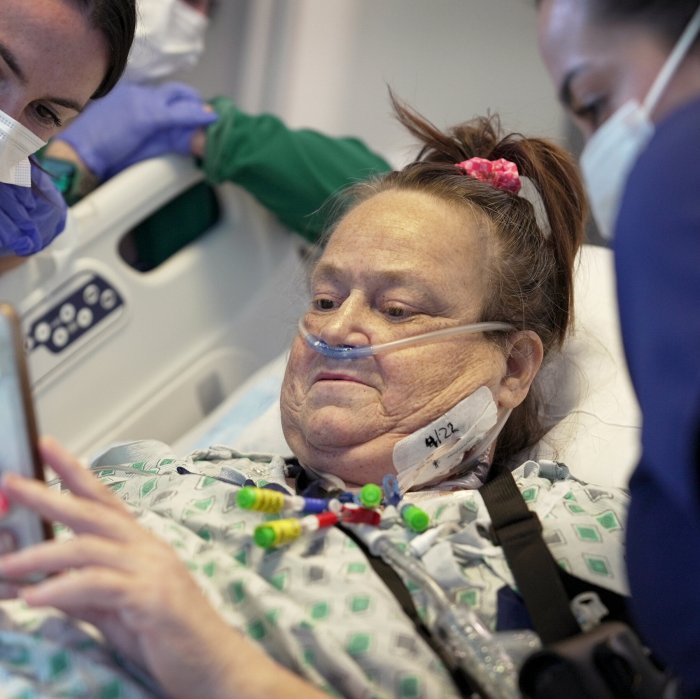 Pig kidney transplant second patient