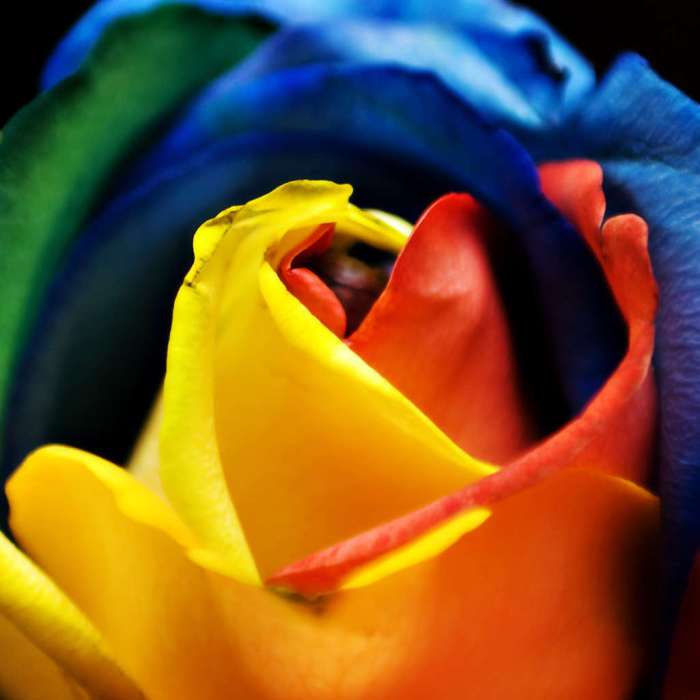 Weak demand japans 40 year debt auction shows fiscal stress