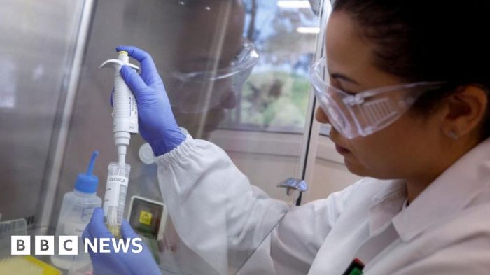 Brazil minister says signs show efficient control bird flu outbreak
