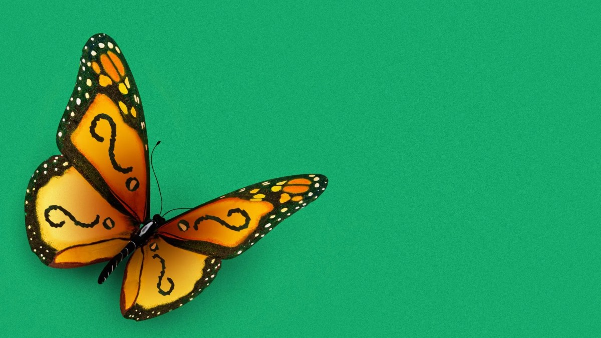 Climate change summer bugs insects