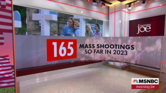 D1bef2cb-d866-45e3-b32f-4316965dc98b Forgotten half of americas gun crisis