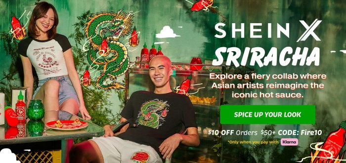 SHEIN — Online shopping platform :: Behance End tax loophole shein starting have impact say south african retailers