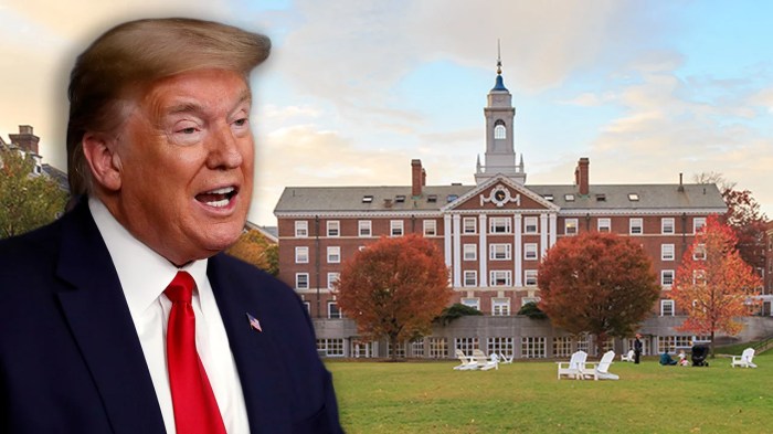 International Students Try To Cope With Trump's Online Class Rule Trump harvard international students court battle