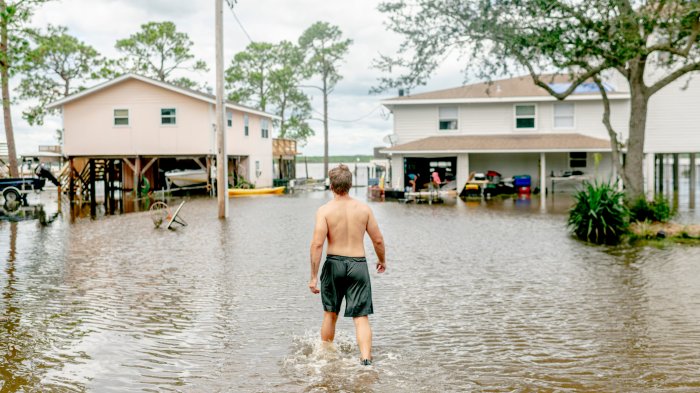 FEMA Plan Would Free Up Billions for Preventing Climate Disasters - The ... Challenge trump fema overhaul climate change disasters