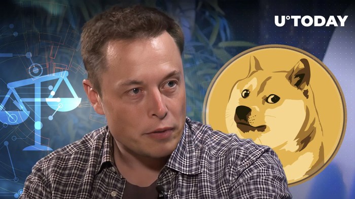 Without musk doge likely fizzle out says ex staffer