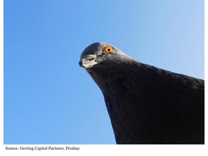 Fed hawks doves us central bankers see no urgency cut