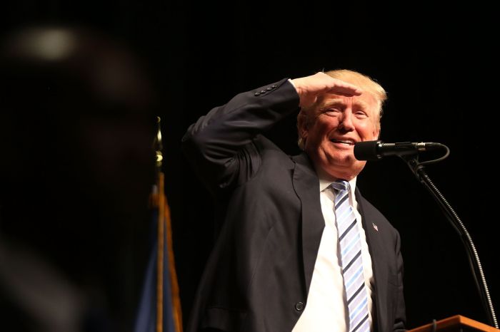 Trump cant stop the energy transition
