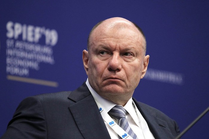 Metals billionaire potanin acquires minority stake russias google