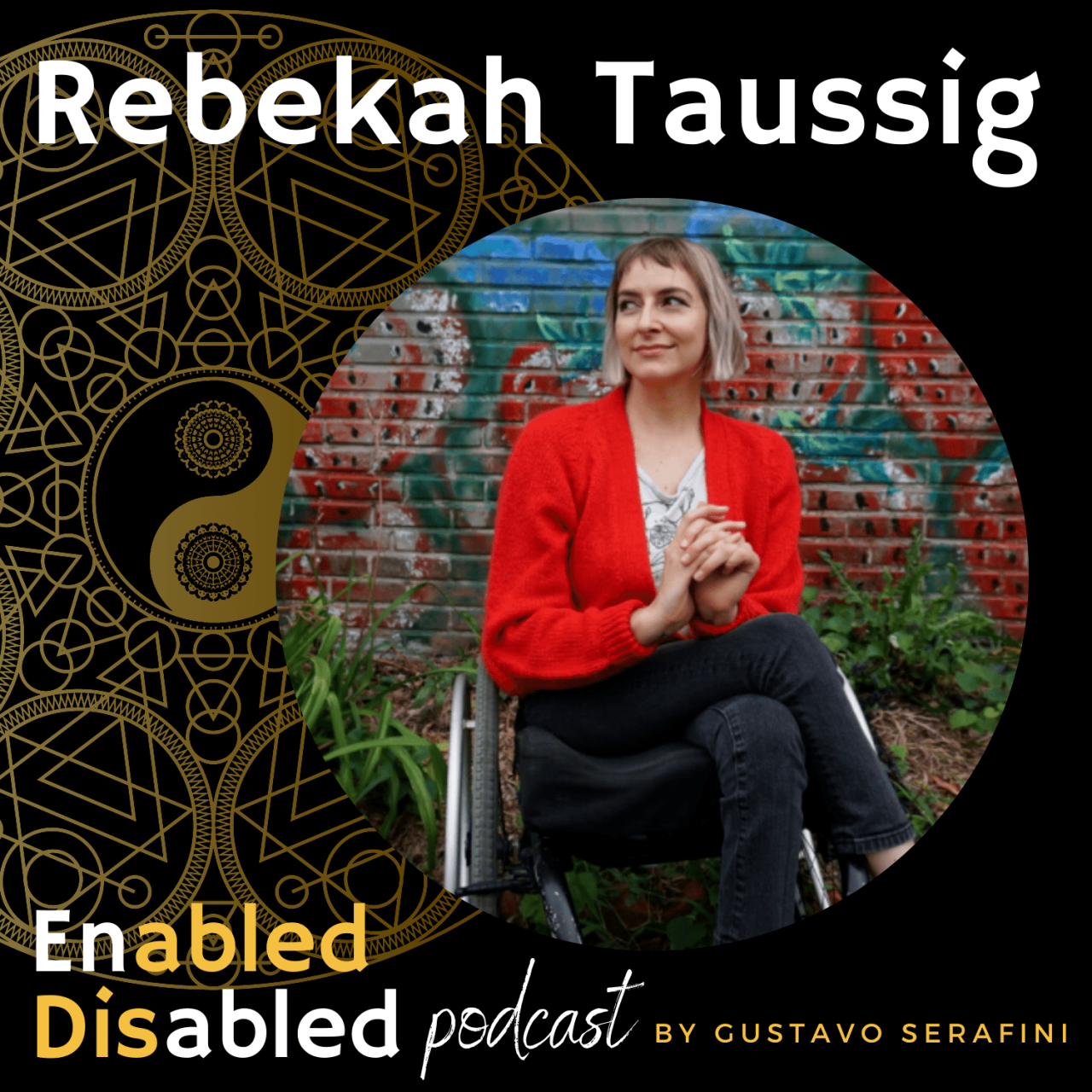 Disability dei brand rebekah taussig essay