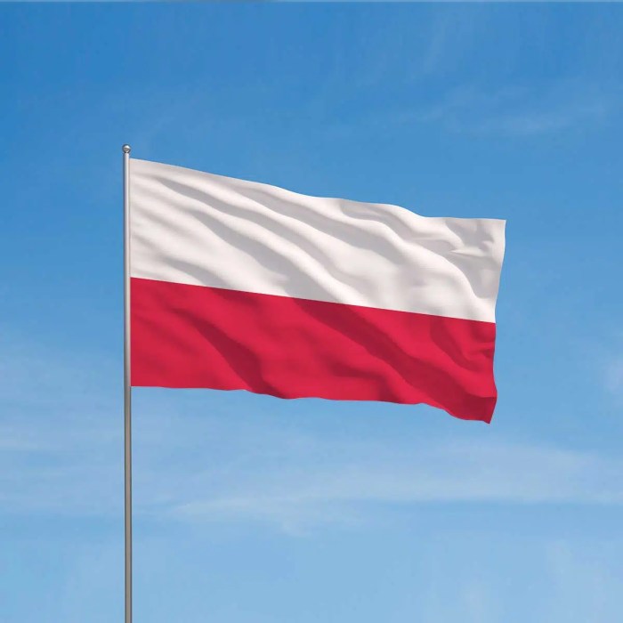 POLISH NATIONAL FLAG DAY - May 2, 2024 - National Today Polish cbanker litwiniuk total 100 125 bps cuts possible this year