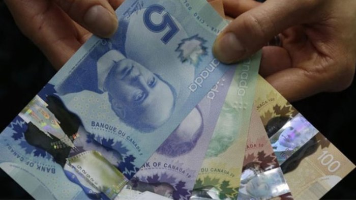 Surprise jobs gain helps canadian dollar hold weekly move higher