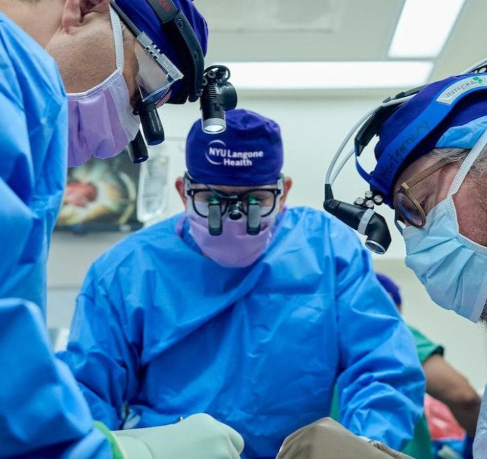Crispr-Edited Pig Kidney Is Transplanted Into Living Patient - Bloomberg Pig kidney transplant second patient