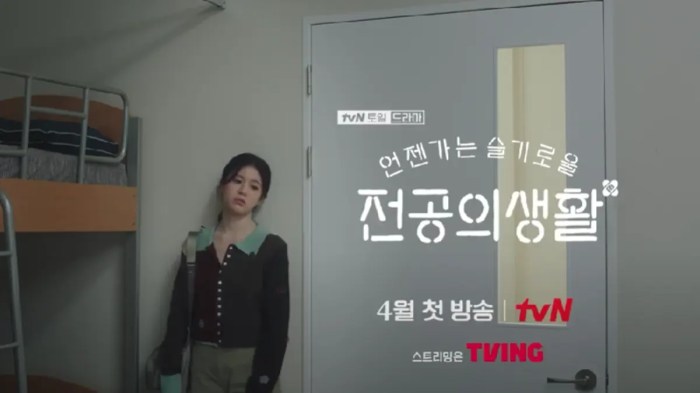 Resident playbook netflix k drama finale