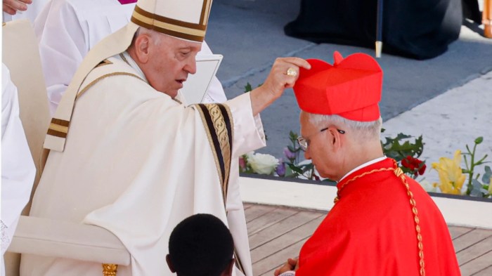 Pope with new cardinals considers Holy Spirit's humor Pope leo first mass pontiff humility cardinals guidance