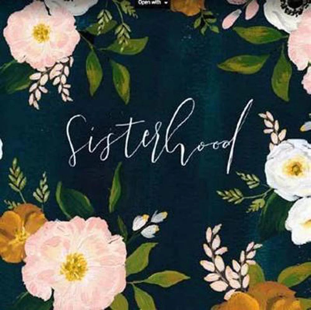 Sisterhood Book – HOLABOX Sisterhood of ravensbruck book interview