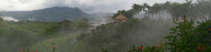 Armenia (Colombia) - Wikitravel Colombia suspend fiscal rule public finances worsen source says