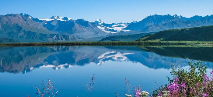 Alaska - Travel USA Alaska airlines ceo expects full year profit despite pricing struggles