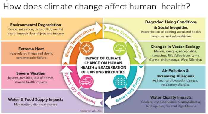 Climate change has far-reaching effects on your health — let us count ... How climate change affects your gut health