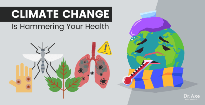 How climate change affects your gut health