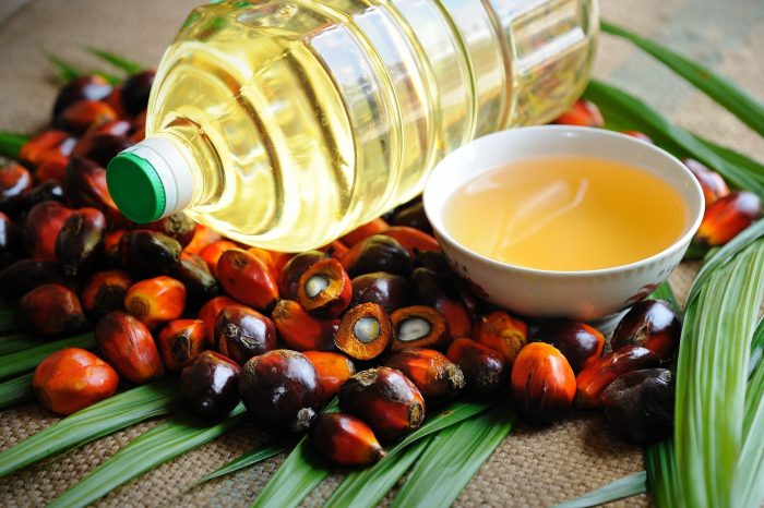 Synthetic Oil Change - Falmouth Motorcar Oil inches up outcome us china trade talks awaited