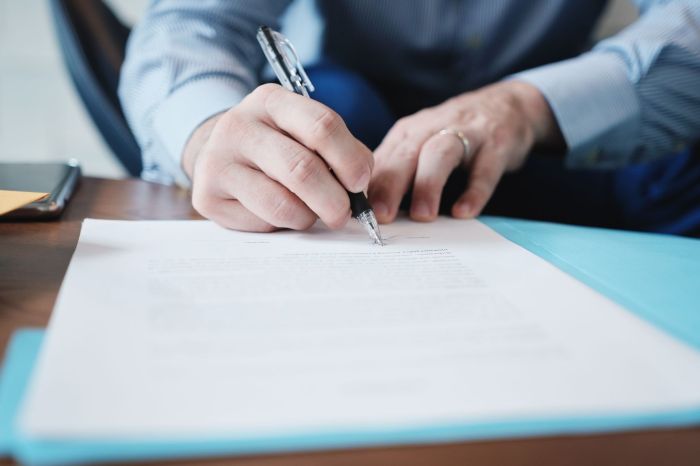 Guardianship of Minor Children Guardians option struggling jhonkensy noel minors