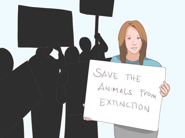 What we really need in the fight against extinction