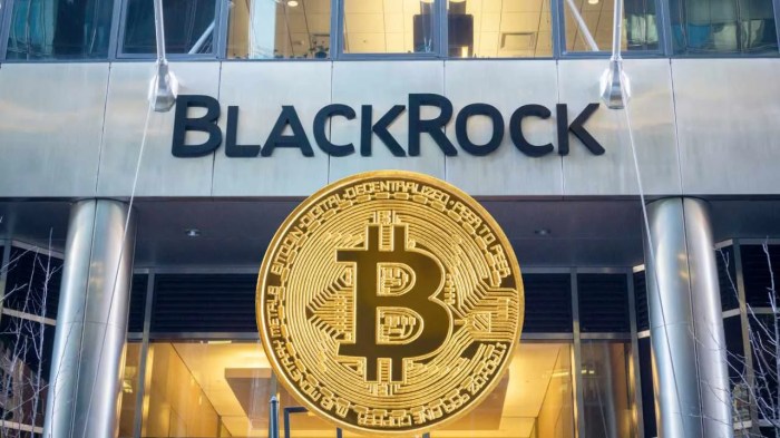 Private Equity – Institutional | BlackRock Private market push focus blackrock hosts investor day