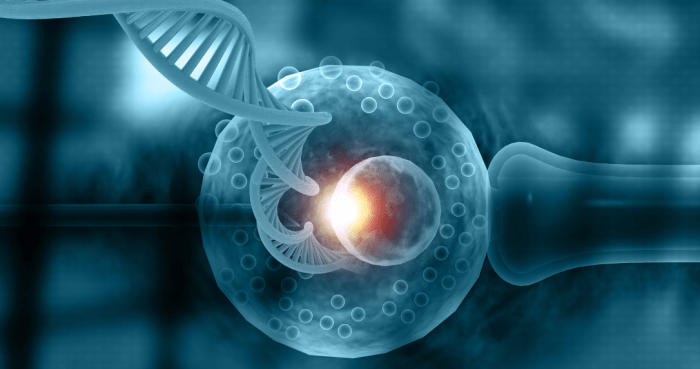 Ivf pgta test lawsuit