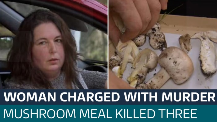 Wild mushroom poisoning in Australia: 3 dead after family meal Australian accused mushroom murders disputes accounts fatal lunch