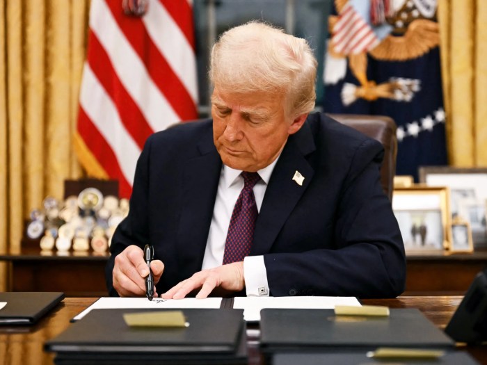 Doge musk federal workers government