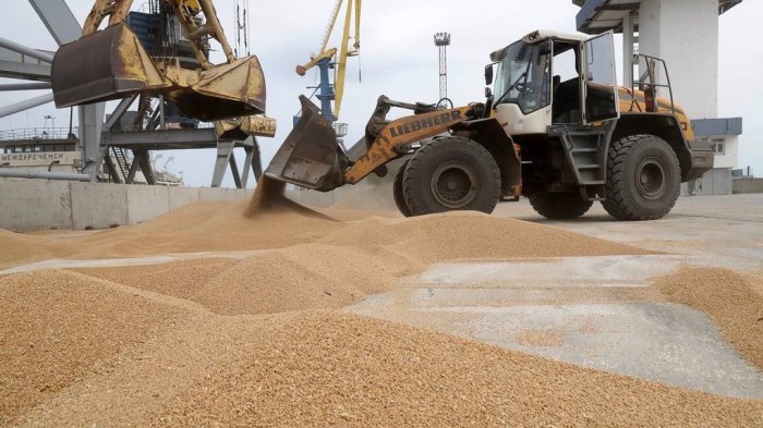 Grain deal 'has been terminated,' Russia says | CNN Egypts new grains buyer struck rare deal french wheat sources say
