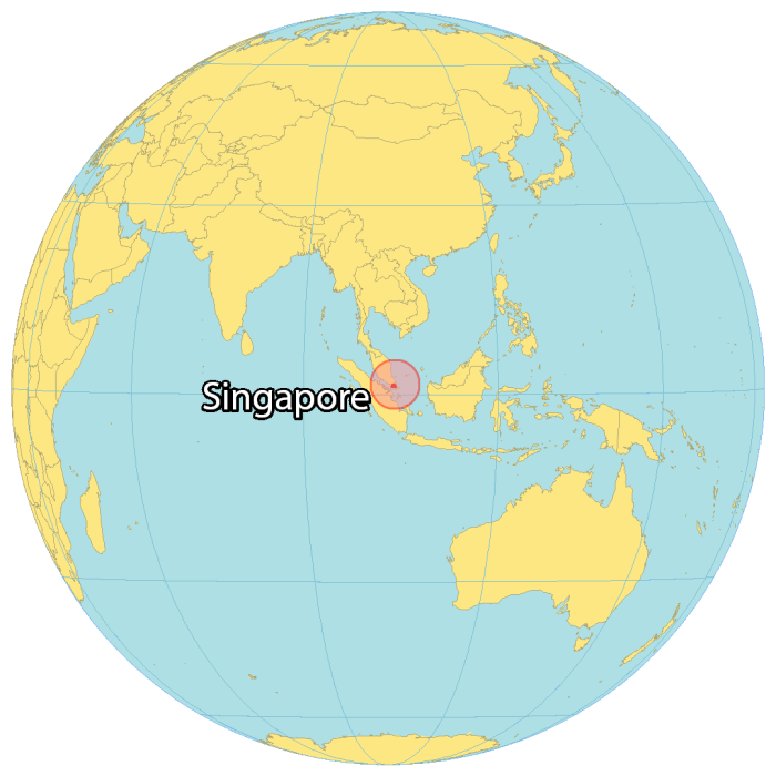 Singapores grab denies reports talks with indonesias goto potential deal
