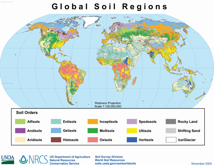 File:USDA soil taxonomy global map.png - Wikimedia Commons Global markets themes graphic