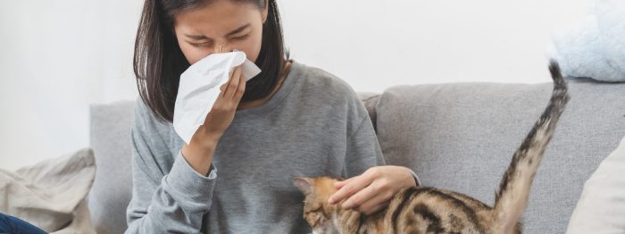 Do allergy shots work