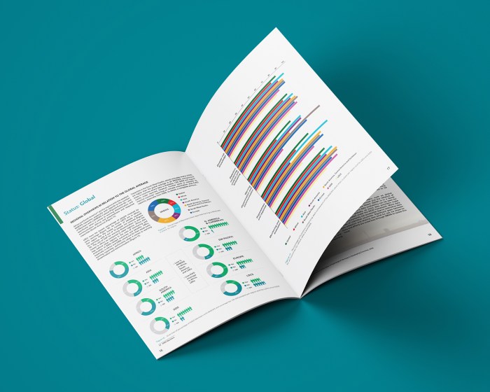 Wmo climate report 2c business impact