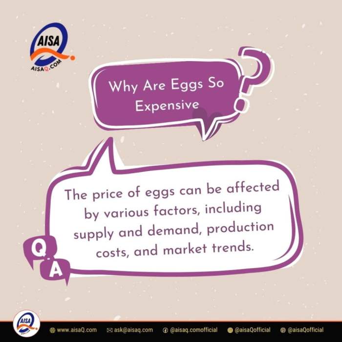 Why eggs are so expensive right now