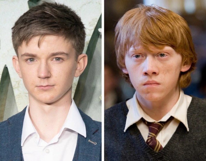 Harry potter hbo series cast actors new announcements full list