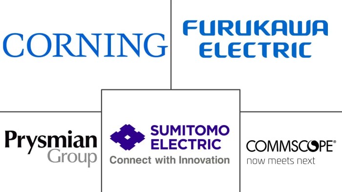 Fiber Optic Cable Companies - Top Company List Gulf arab telecos compete syria fibre optic project sources say
