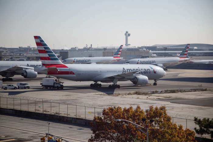 Airlines stick net zero target despite green fuel doubts