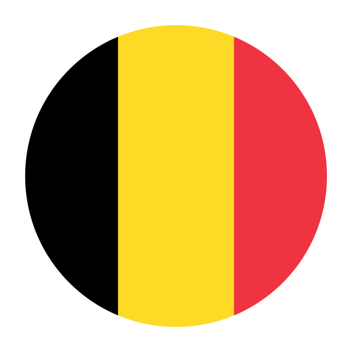 Relief belgium questions defence after dramatic win over wales