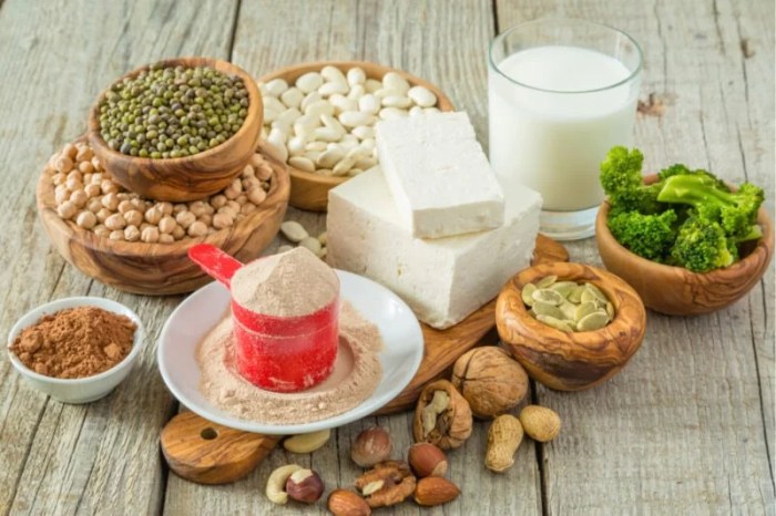 Are protein shakes good for you