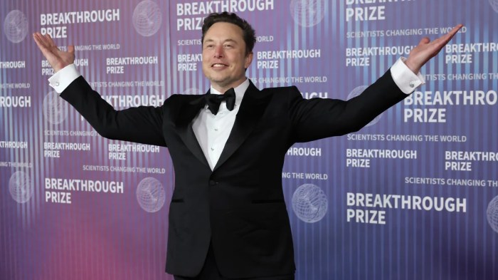Elon Musk calls homelessness a ‘lie’ and ‘propaganda’ — and Trump is ... Elon musk rally treasury usaid