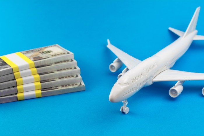 Eu susbsidise high volume greener aviation fuel boost airline demand