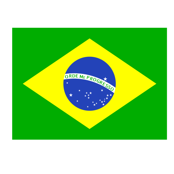 Brazil authorities rule out suspected bird flu case commercial farm