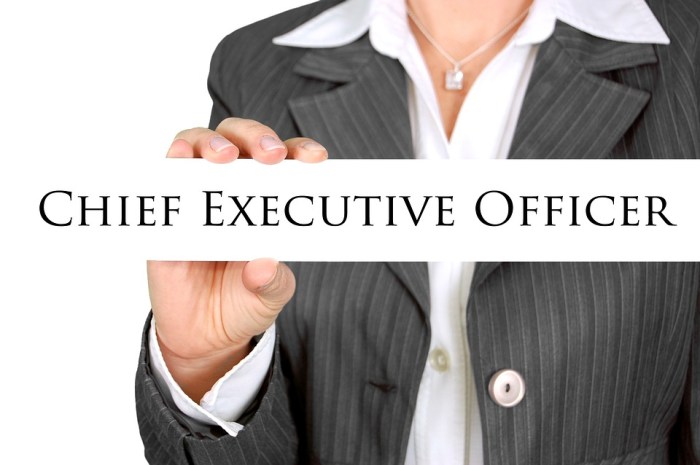 El «CEO» es el primer ejecutivo de una empresa | FundéuRAE Texas stock exchange ceo says 35 us listed public companies would not qualify
