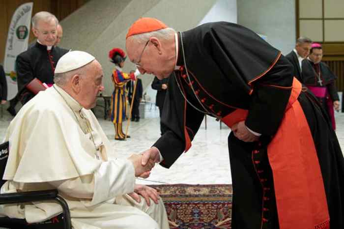 New Camerlengo of the Holy Roman Church: Cardinal Farrell Pope death vatican camerlengo kevin farrell cardinals dean re conclave